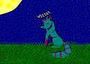 Veedee and night