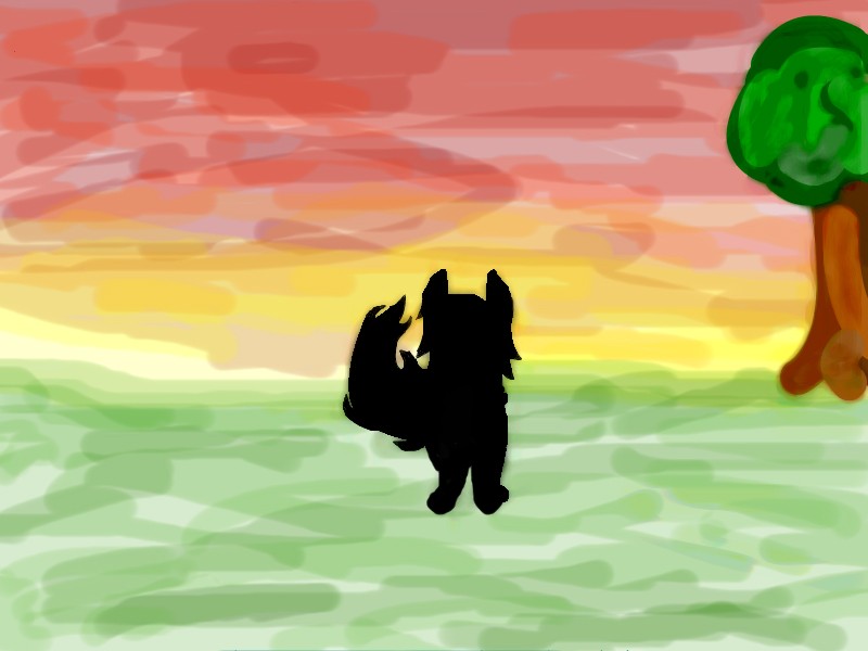 Black dog