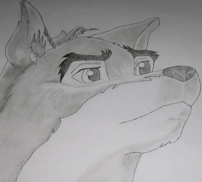 ->Balto<-