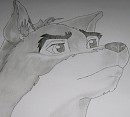 ->Balto<-