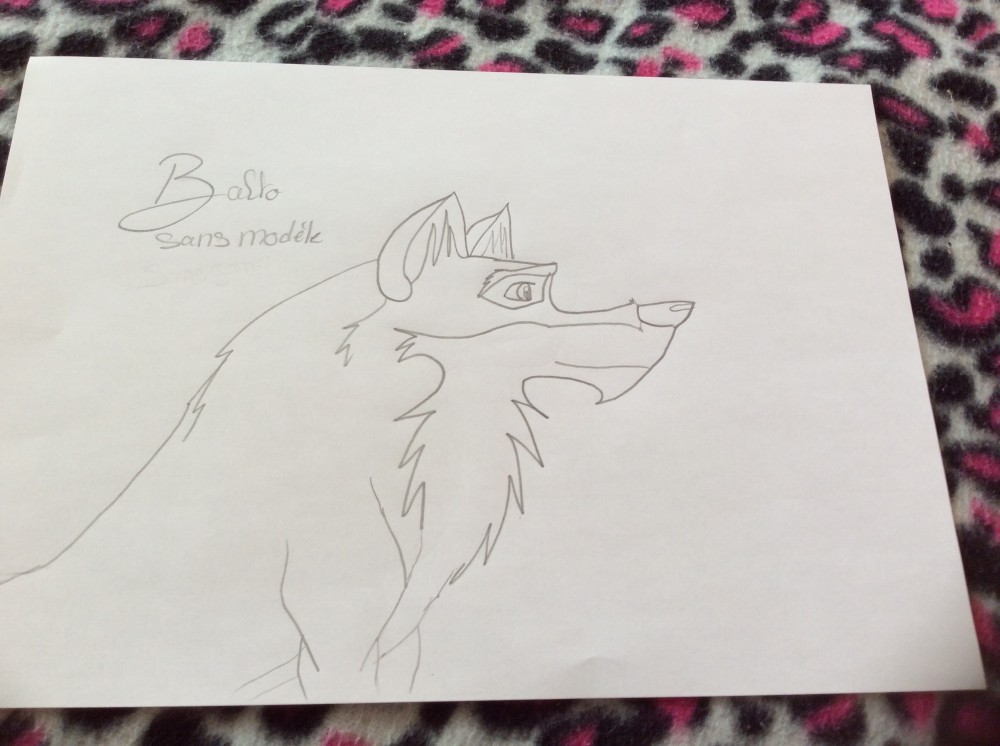 Balto