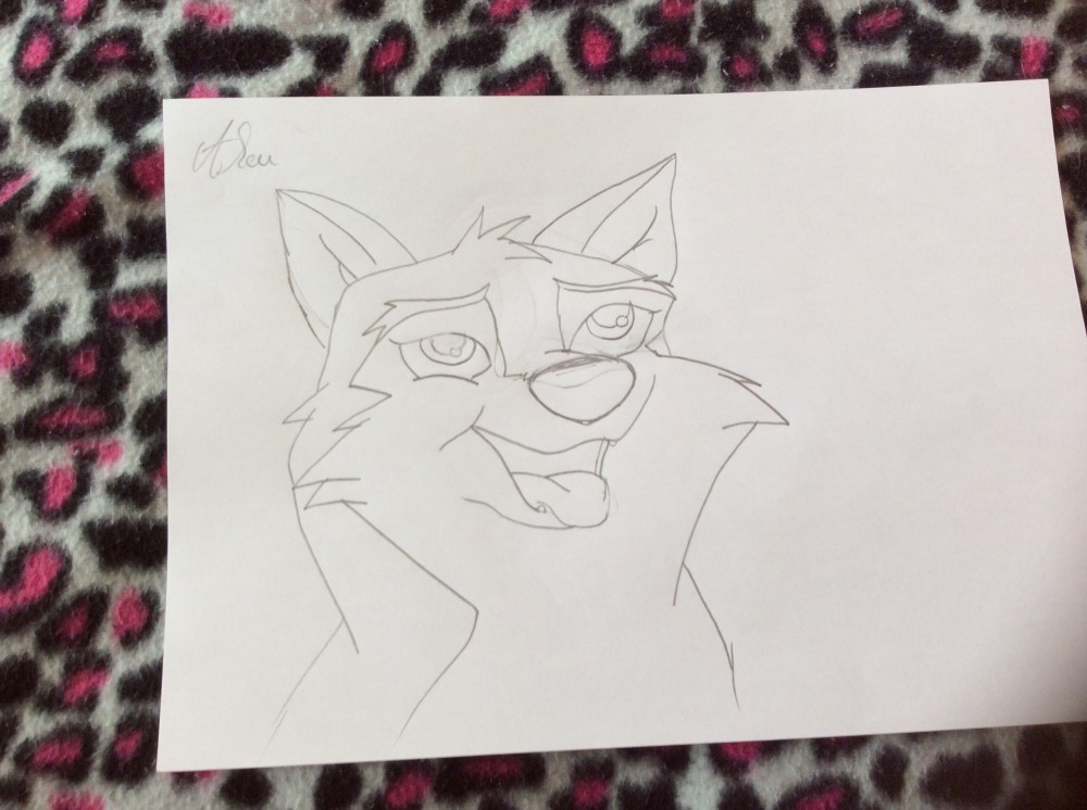 Aleu