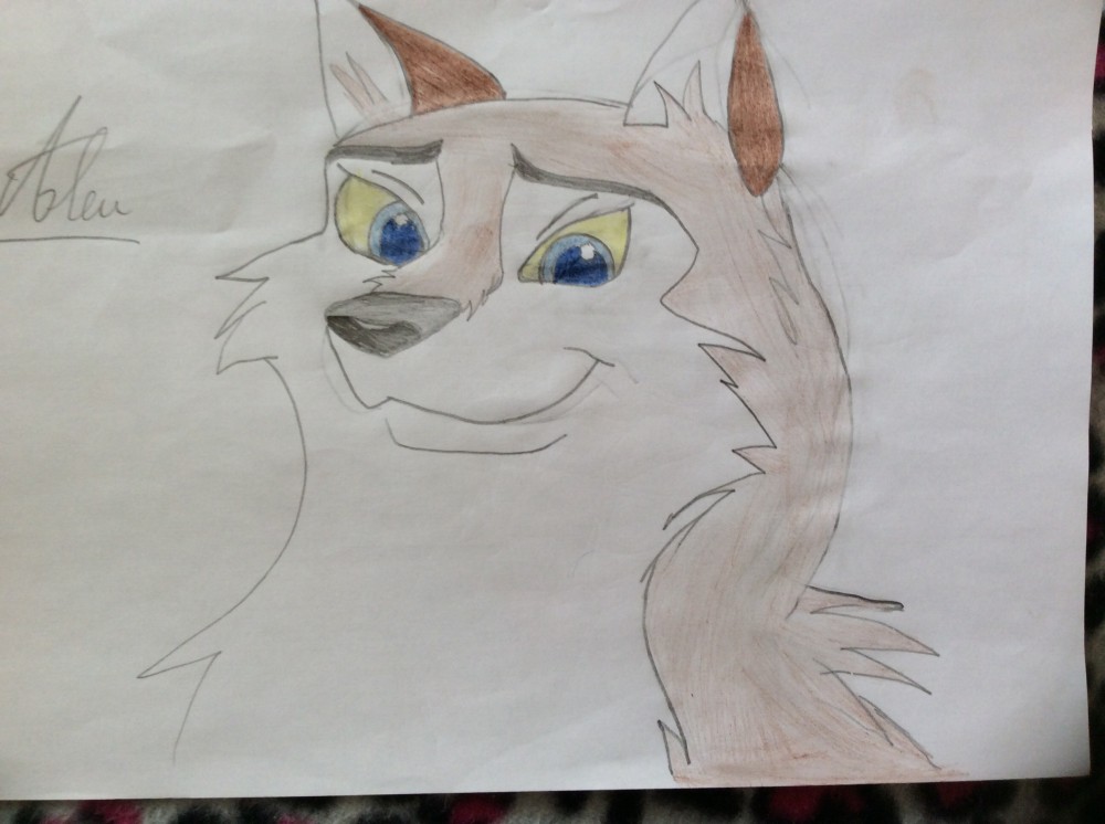 Aleu