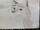 Aleu