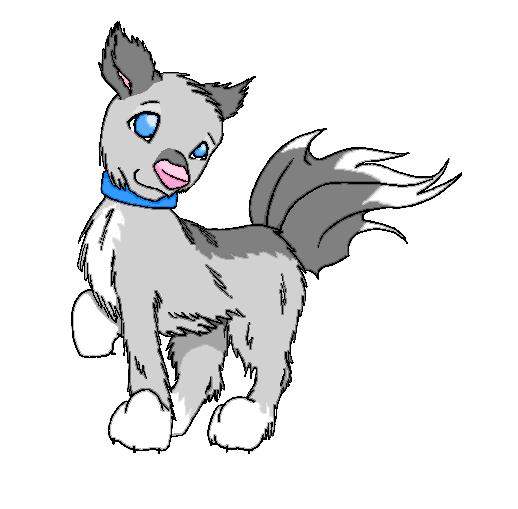 lil husky-boy