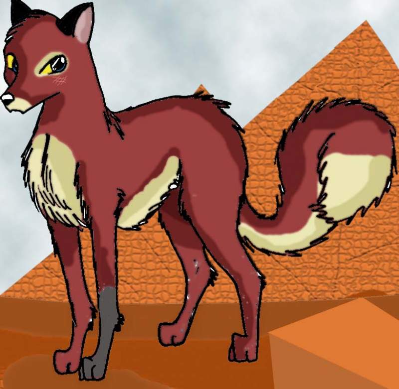 heh random fox