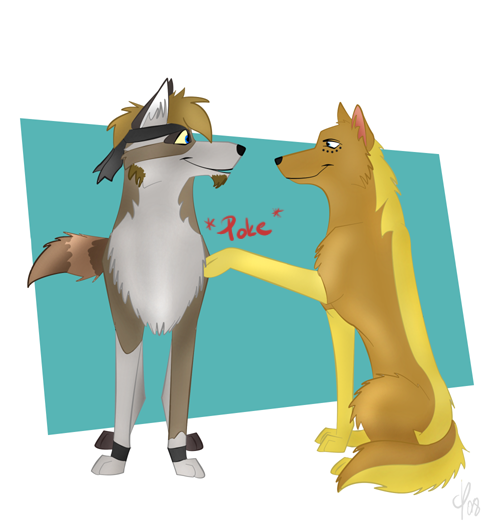 Poke D: