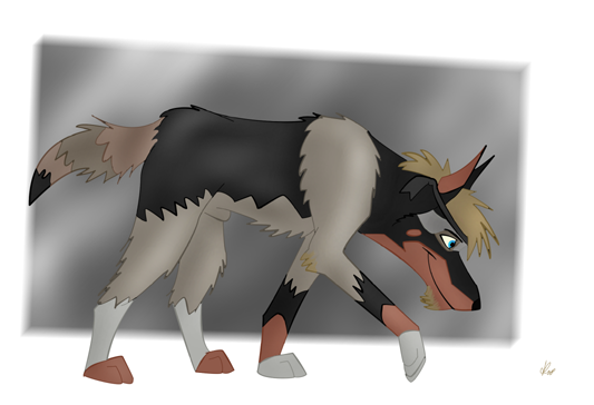 Doberclay