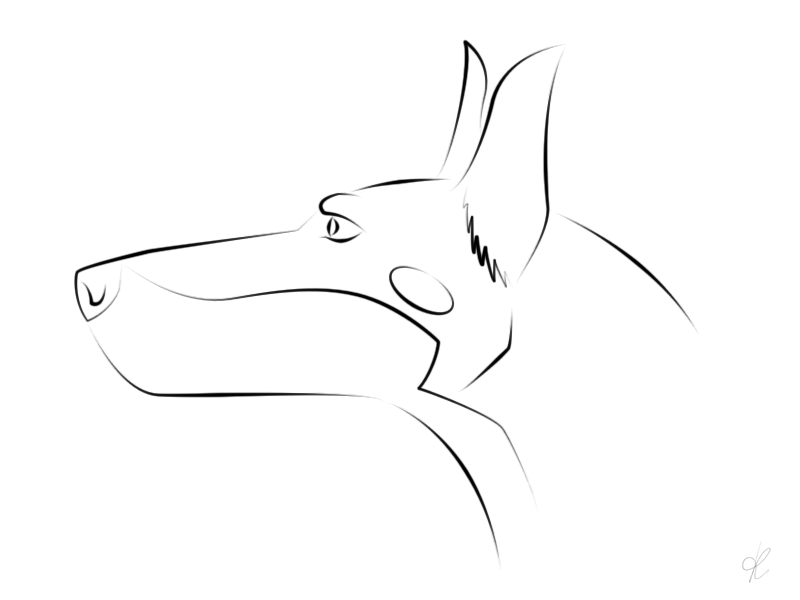 Doberman