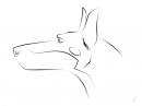 Doberman