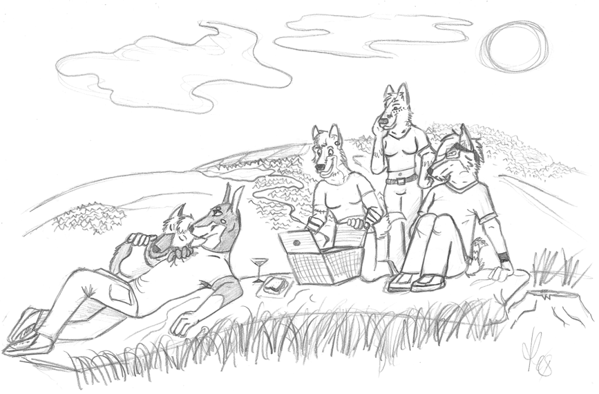 A picnic