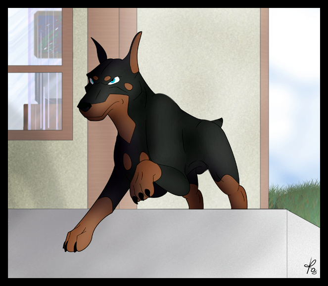 Beware of the dog