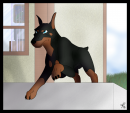 Beware of the dog