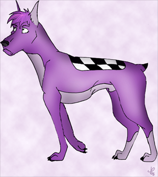 Rook the Dobe