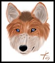 for Keilidh 