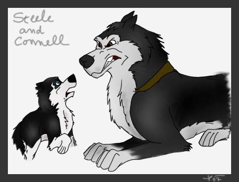 Steele and Connell