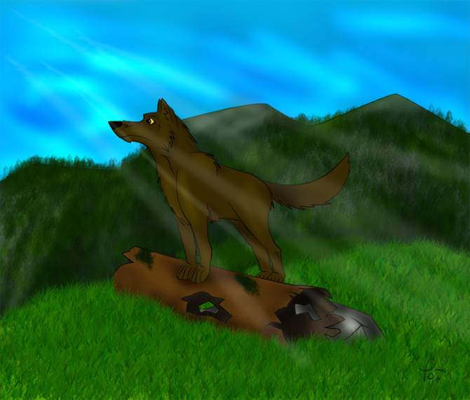Really ussual wolf