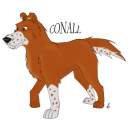 Conall