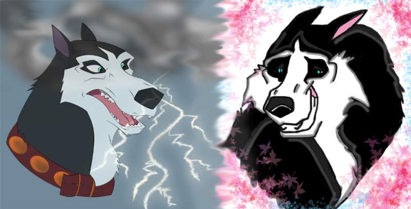 Two sides of Steele