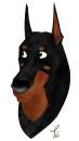 A dobbie!!! >:B