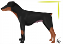 Roxie