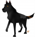 Kiwa's woofer