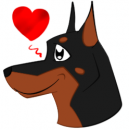 A dobbie <3