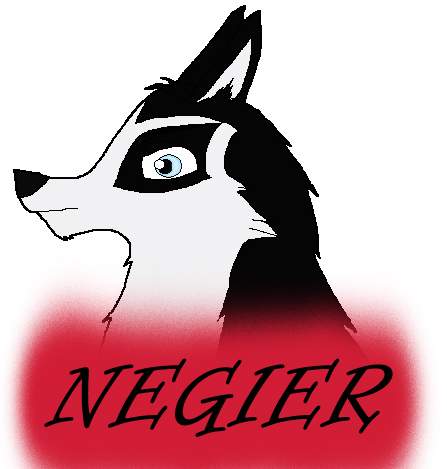 Reg (Negier) Profile