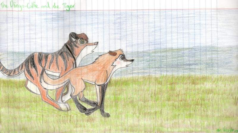 The Dingo Collie and the Tiger