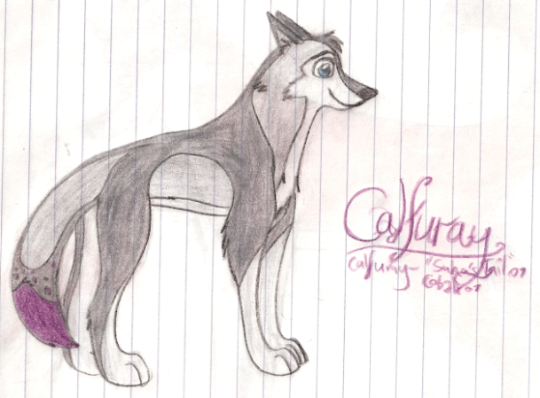 Calfuray