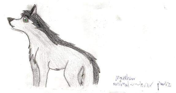 Matthew (animal--lover pwnz)