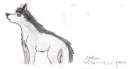 Matthew (animal--lover pwnz)