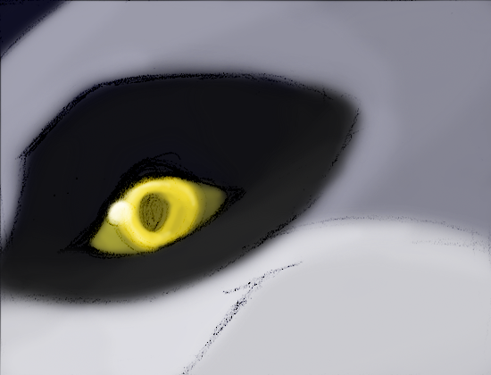 Lantern Eye