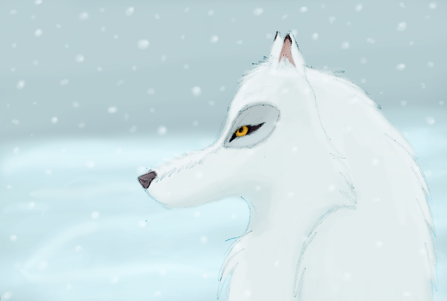 White Wolf in the snow