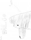 Balto