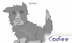 codiee