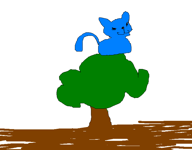 kitty