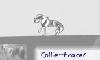 collie_tracer