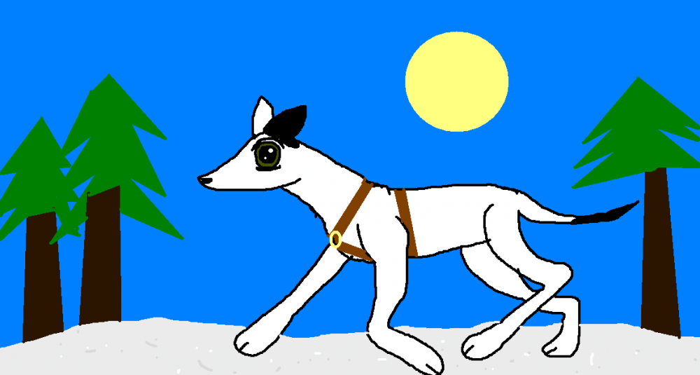 Can't think of a name, please help 