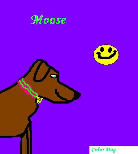 MY best friends dog!