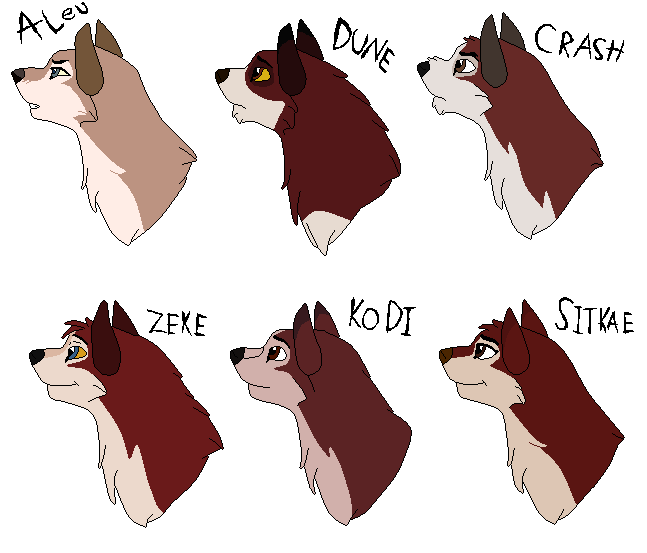 comparison