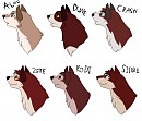comparison