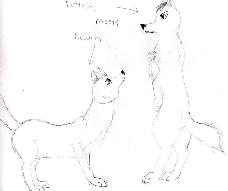 fantasy meets reality