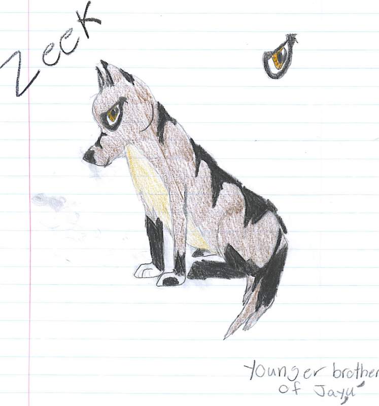 Zeek