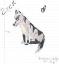 Zeek