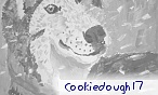 cookiedough17