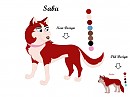 Saba Redesign