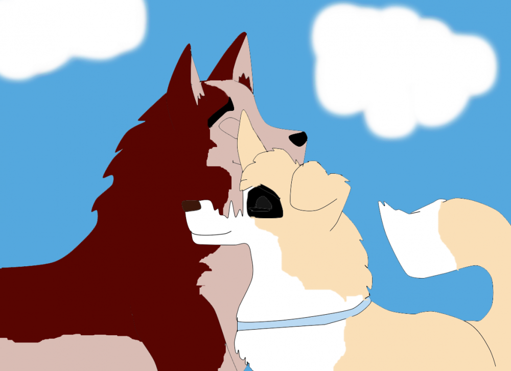 Dingo and Evanna 