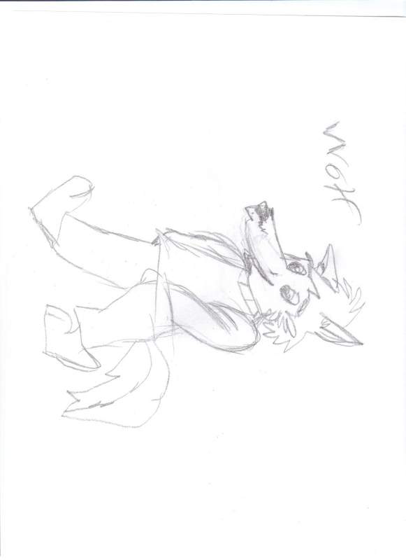 wolf