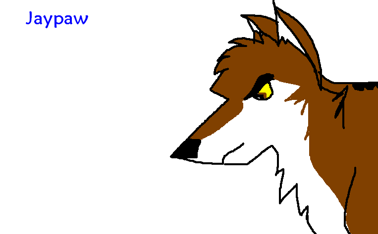 Jaypaw